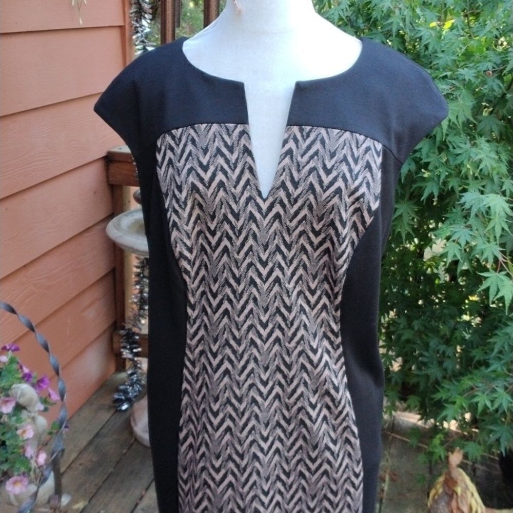 Connected Woman Colorblock Dress - Picture 2 of 9